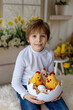 © Tomsickova - Beautiful preschool child, boy, playing with ducklings at home
