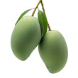 © Sejjil - Two ripe mangos hanging isolated on transparent background