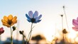 © nattapon - A close-up of vibrant flowers against a soft sunset backdrop, perfect for themes of nature, beauty, and tranquility, Ideal for use in blogs, social media, or marketing materials related to wellness,