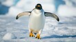 © Cambo27 - A penguin walking on snowy ground with its wings outstretched.