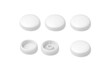 © PerfectPhoto - White plastic screw caps furniture plugs set