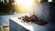 © SHI - liberated. Broken iron chains at the base of a stone pedestal in bright sunlight, symbol of freedom. event programs, museum guides, designed for cultural heritage projects and event programs.