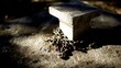 © SHI - liberated. Broken iron chains at the base of a stone pedestal in bright sunlight, symbol of freedom. event programs, museum guides, designed for cultural heritage projects and event programs.