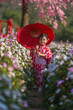 © geargodz - preschool child girl in yukata (kimono dress) holding umbrella with flower blooming in garden