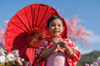 © geargodz - preschool child girl in yukata (kimono dress) holding umbrella with sakura flower or cherry blossom blooming in garden