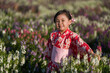 © geargodz - preschool child girl in yukata (kimono dress) with angelonia flower blooming in garden