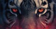 © anis rohayati - Close up of a tigers eyes showcasing intense gaze and vibrant colors