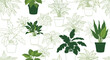 © Raqib - Charming seamless pattern of various indoor house plants in pots with some in green color and others in outline style on a white background.