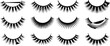 © MDNASIR - Set of black false eyelashes silhouettes and vector icons featuring various lash styles like volume long and thick for beauty