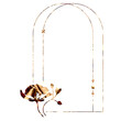 © Anna - Golden arch frame with flower and star elements on transparent background