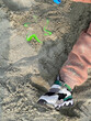 © phpetrunina14 - Child sneaker in beach sand with toy shovel Copy Space