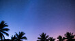 © Hidayat - Starry Night Over Palm Trees. A vibrant purple and blue night sky filled with stars and the Milky Way, framed by the silhouettes of tropical palms.