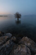 © Christian - Cipresso Calvo
