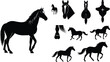 © Mehreen - A horse silhouette illustration set with various poses and details
