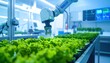 © Sardi - Advanced Robotic Arm Precisely Harvesting Lush Green Plants in a High-Tech Agricultural Facility