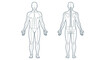 © Saif - Front and back anatomical vector illustration displaying the human musculoskeletal system outline for medical reference
