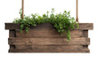 © ArtWorld - Rustic wooden planter box with green foliage hanging by rope image, Isolated On White Background, Png Transparent