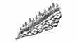 © holo - Ink drawing of blooming bluebells on a rocky slope