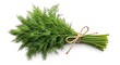 © sablengjago - Fresh, vibrant green dill bouquet, tightly bound with twine, against a clean white backdrop