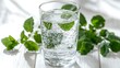 © Musa ▶️ Galib - A refreshing glass of bubbly water infused with mint leaves on a white wooden table
