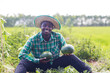 © arrowsmith2 - Happy African Farmer Holding Fresh Watermelons in the Field