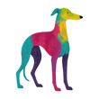 © Rawpixel.com - PNG Colorful artistic greyhound illustration.