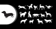 © Graphicclick - A collection of dog silhouettes in various poses on a black background