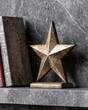 © Julia - File binders featuring a star symbol, denoting important documents and highlighted files
