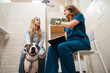 © Gonzalo Infiesta - Veterinary doctor consulting pet owner with pitbull dog