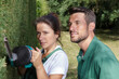 © auremar - woman cuts the hedge with an electric hedge cutter