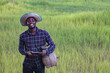 © arrowsmith2 - Modern African Farmer Using Digital Tablet in Green Rice Field