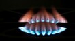 © Anzhelika - Burning natural blue gas flame on stove burner. Global energy crisis concept representing fuel consumption shortage, rising utility bill costs and natural resource depletion for industry.