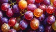 © Rafiq - Fresh Colorful Grapes with Water Droplets