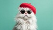 © Dewarty - High Fashion Pet Portrait with Sunglasses and Red Beret on Pastel Background