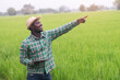 © arrowsmith2 - African Smart Farmer Pointing at Future Vision in Rice Field