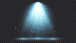© dniprodd - Lighting with spotlight illumination effects