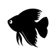 © Siam - Simple Black Silhouette Illustration of a Gourami Fish on a White Background