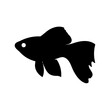 © Siam - Simple black silhouette of a swimming goldfish with flowing fins illustration