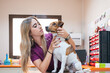 © Gonzalo Infiesta - Veterinarian examining a jack russell terrier dog