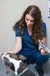 © Gonzalo Infiesta - Veterinary professional caring for a dog at clinic
