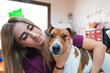 © Gonzalo Infiesta - Veterinarian comforting a Jack Russell dog at clinic