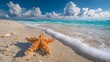 © Olajumoke - Summer beach vibe with starfish on sand,  starfish on the beach