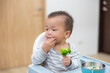 © leungchopan - Little baby holding broccoli and eating independently