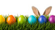 © ROKEYA - Colorful easter eggs in grass with bunny ears on white background for spring holiday