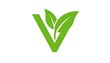 © iwak - Stylized, light green letter 'V' with two overlapping leaves in the angle, isolated against a pure white background