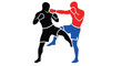 © Ziaul_Studio - Two silhouetted figures engaged in a boxing or martial arts match red and black
