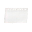 © Mridulvisuals - Torn piece of white notebook paper with blue lines and pink margin on checkered grid