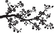© MstSima - Vector illustration Blooming tree branch silhouette with apple flowers and small fruits for spring season nature design