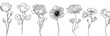 © Mukhtaran - -coloring page of a set collection, vector illustration line art drawing, beautiful flowers isolated on white background, hand drawn vector illustrations, black and white, ink drawings, detailed botan