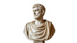 © Ines - Isolated classical marble bust portraying a thoughtful bearded man from antiquity